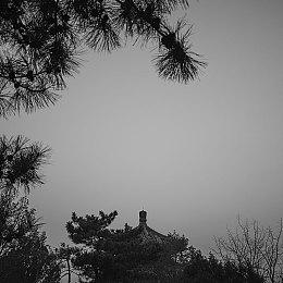 CDRP发布贺图：《黄金树幽影》成M站最佳DLC